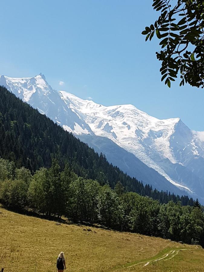 Appartement Typique,Chaleureux Et Pratique Chamonix ภายนอก รูปภาพ